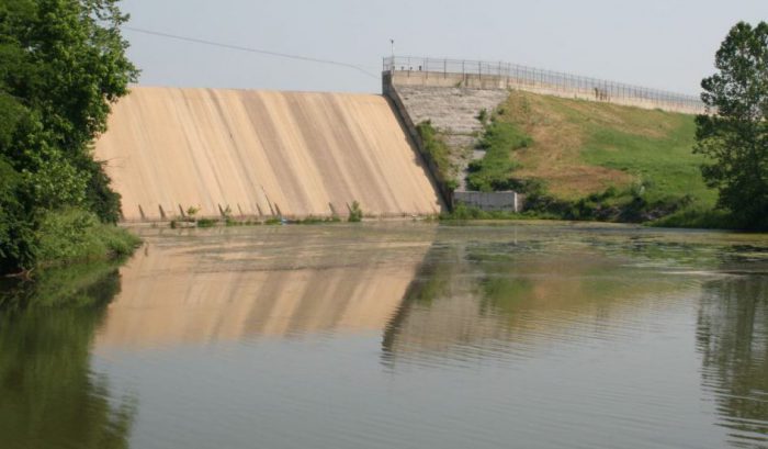 Water Plant